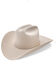 Image #1 - Stetson El Presidente 100X Felt Cowboy Hat, Silverbelly, hi-res