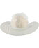 Image #3 - Boot Barn&reg; Hat Protector, No Color, hi-res