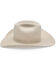 Image #2 - Resistol Five Star Felt Cowboy Hat, Silver Belly, hi-res