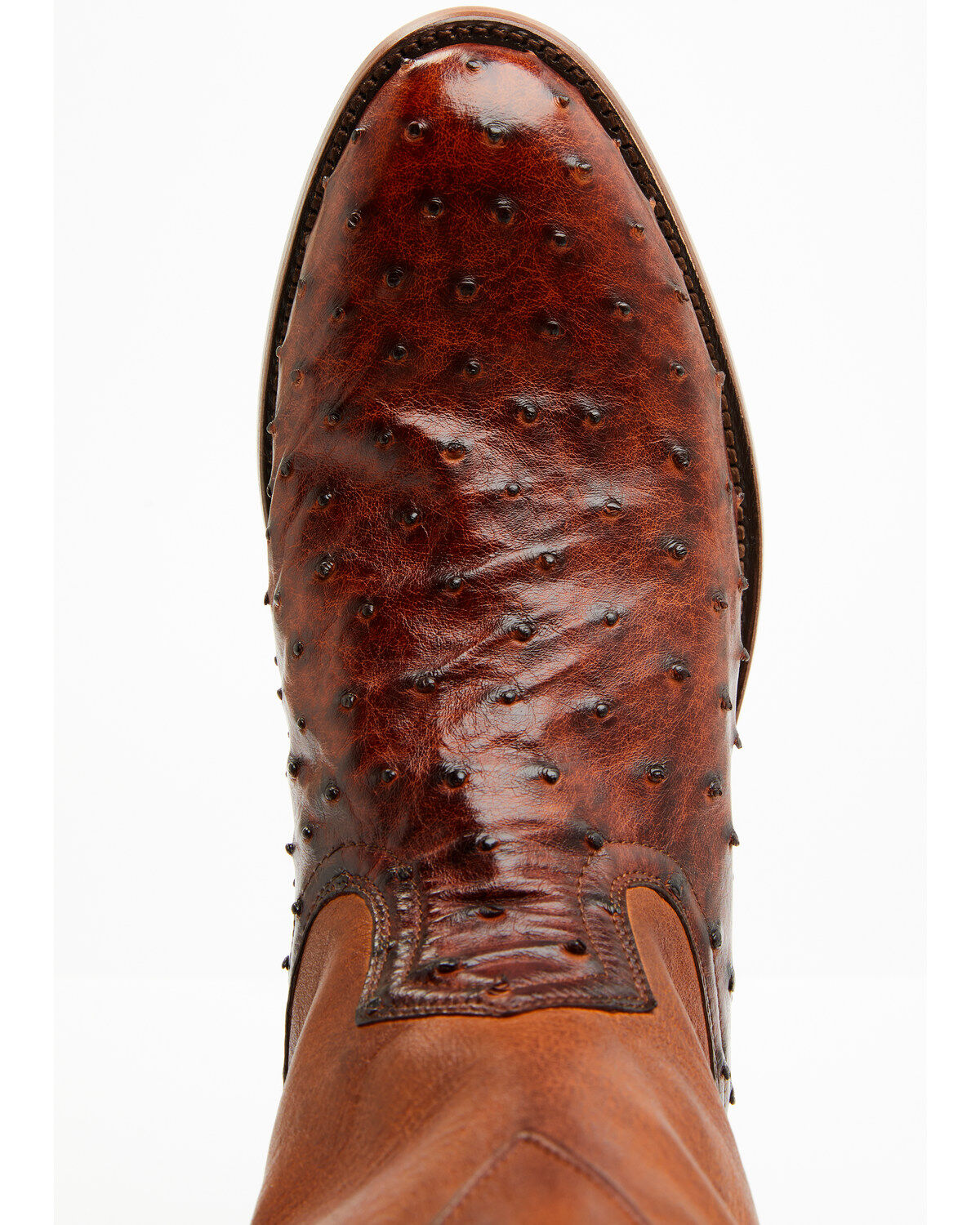 Image #6 - Cody James Black 1978&reg; Men's Carmen Exotic Full-Quill Ostrich Roper Boots - Round Toe, Cognac, hi-res