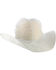 Image #1 - Boot Barn&reg; Hat Protector, No Color, hi-res