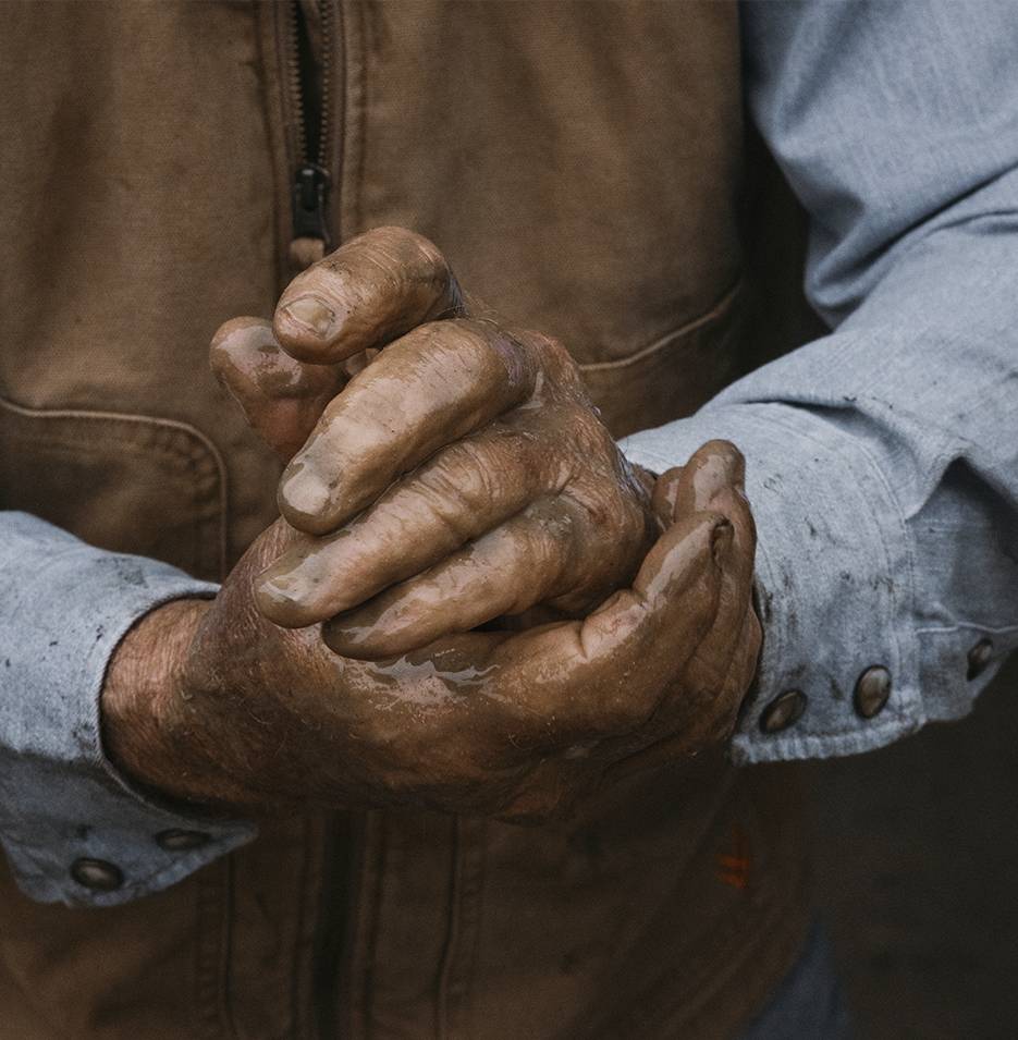Pair of hands covered in grease